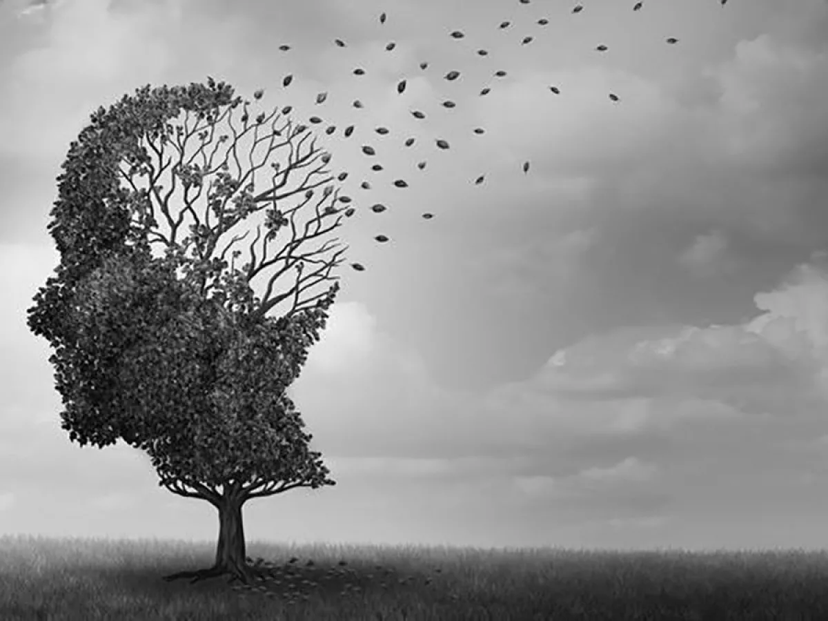 estimulación cognitiva